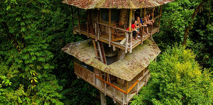 Rumah Pohon Terbaik Untuk Menginap di Kosta Rika